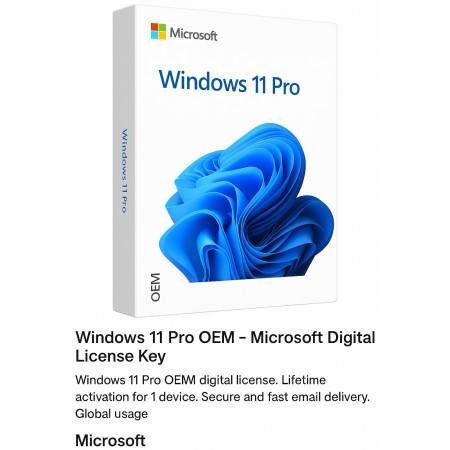 Windows 11 Pro OEM License Key - Activate Your Operating System